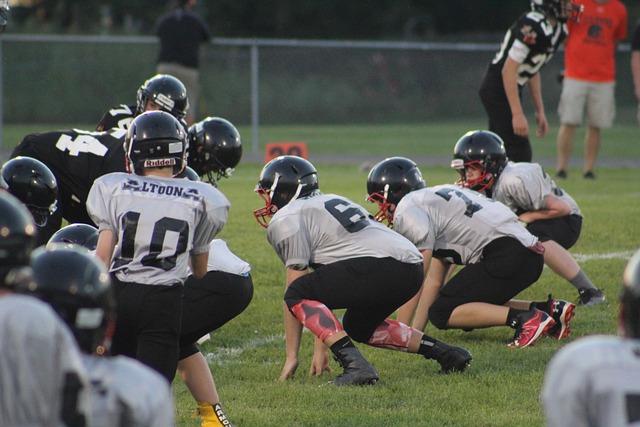 但成熟的技 但成熟的技