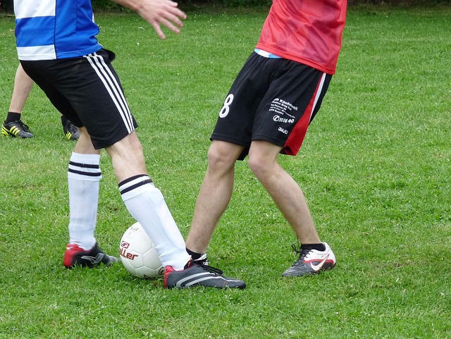 第三节末端 第三节末端