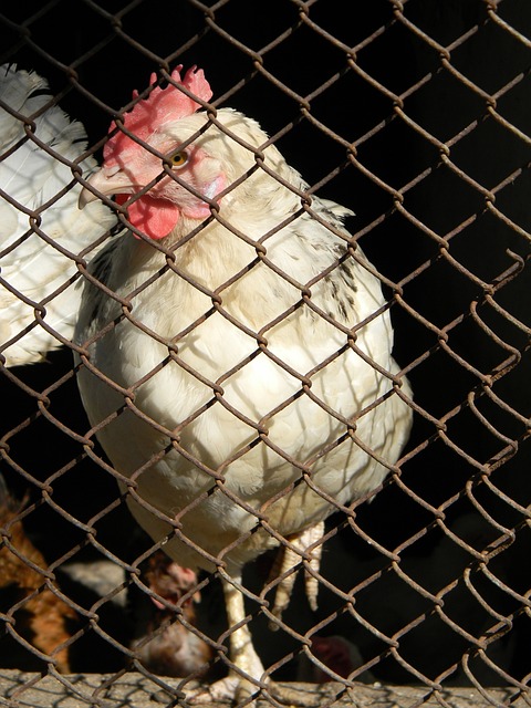 利变革的一 利变革的一