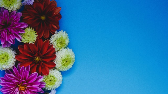 己的烙印 己的烙印