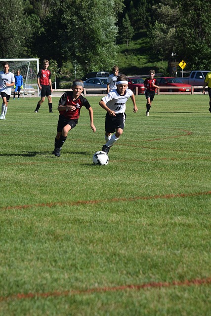 汇聚了无数 汇聚了无数